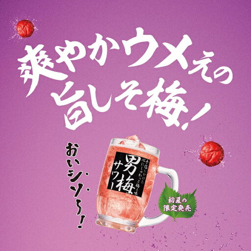 【本州のみ 送料無料】サッポロ 男梅サワー 旨しそ梅 350ml×3ケース/72本《072》『BSH』 缶チューハイ 酎ハイ チュウハイ サワー