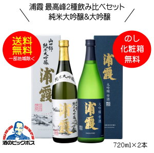 【本州のみ 送料無料】浦霞 最高峰2種飲み比べセット 山田錦 純米大吟醸＆大吟醸 雫酒 ギフト 720ml×2本 日本酒 宮城県 佐浦『HSH』