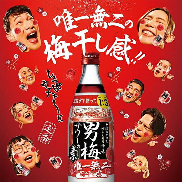 【本州のみ 送料無料】サッポロ 男梅サワーの素 20度 500ml瓶×1ケース/12本《012》『OMS』 チューハイ チュウハイ 酎ハイ サワー
