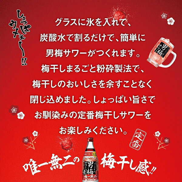 【本州のみ 送料無料】サッポロ 男梅サワーの素 20度 500ml瓶×1ケース/12本《012》『OMS』 チューハイ チュウハイ 酎ハイ サワー