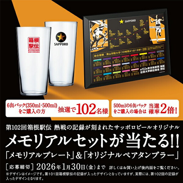 【11/15は逸酒創伝の日！最大200円OFFクーポン配布中！】ビール 千葉県 寒菊銘醸 九十九里オーシャンビール スタウト 330ml × 2ケース / 24本 ケース販売 ギフト 父親 誕生日 プレゼント お酒