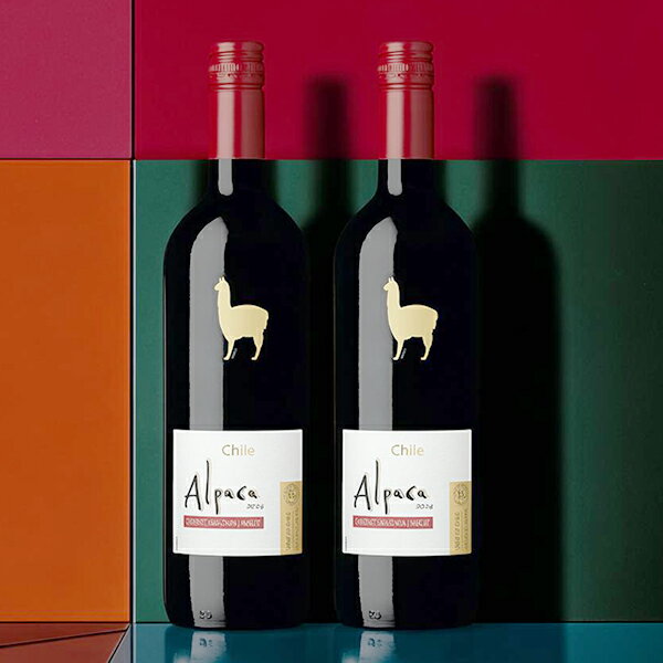 【本州のみ 送料無料】アサヒ サン�