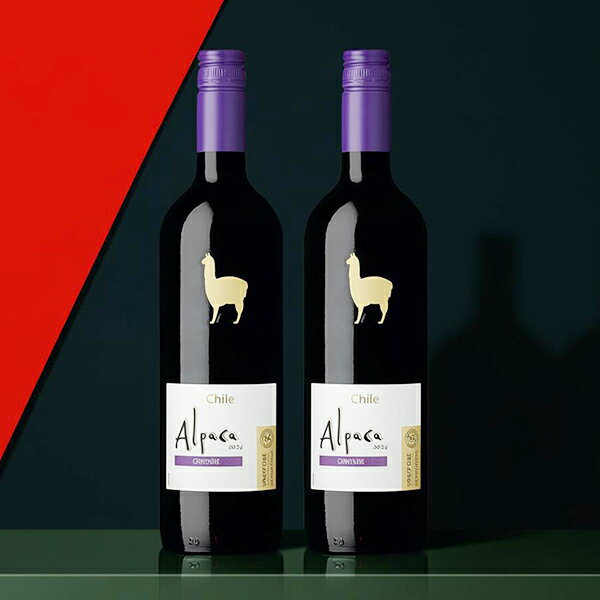 【本州のみ 送料無料】アサヒ サン�