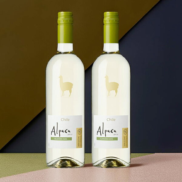 樂天商城 - 【本州のみ 送料無料】アサヒ サンタヘレナ アルパカ ソーヴィニヨン・ブラン 750ml×2本《002》『OMS』 おうちワイン チリワイン 辛口 白ワイン