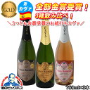 金賞ワインのギフト スパークリングワイン 飲み比べセット 金賞受賞 ヴィーニャ アデライダ 750ml×3本 送料無料 wine 泡【倉庫A】