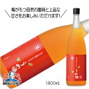 八海山の焼酎で仕込んだうめ酒 1800ml1.8L 梅酒 新潟県 八海醸造『HSH』【倉庫A】