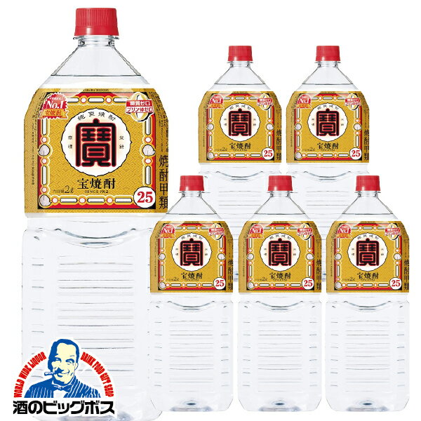 宝焼酎 宝 タカラ 焼酎 25度 2000ml×2本 エコペット 2L