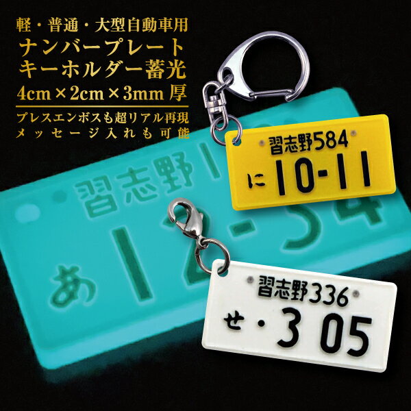 光るナンバープレートキーホルダー 蓄光 4cm 2cm 3mm厚 自動車用 名入れ 文字入れ OK 父 誕生日プレゼント 車好き 男性 女性 誕生日 プレゼント 結婚祝い 還暦祝い 古希 退職祝い お祝い 記念…