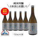 奥飛騨 純米吟醸 720ml 6本 日本酒 岐阜県 奥飛騨酒造『HSH』《006》【倉庫A】