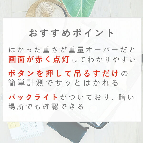 【数量限定・半額セール】ラゲッジスケール バッ...の紹介画像2
