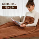 電気毛布 敷き シングル 180×80cm らく寝ぼう 洗える 水洗い 丸洗い 温度調整 ダニ撃退 リフォン 広電