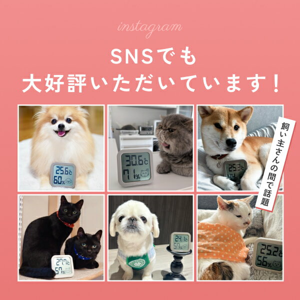 ドリテック 公式 ペット用温湿度計 ペット専用...の紹介画像3