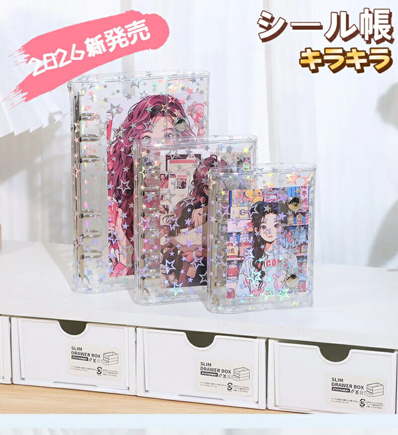 ��2026ǯ��ȯ��ۥ�����Ģ Ʃ�� ���� A6 A7 A8 M5������ �Х������ ��ե����20���դ� ���ꥢ�Х������ �����ɥݥ��å� ���ꥢ ��Ģ �ץ�Ģ...