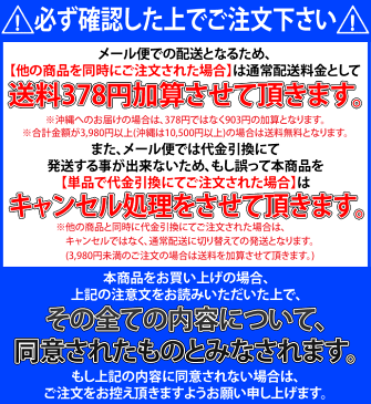 【メール便で送料無料】《代引き不可》ヤニ取り＆歯石取りホームケア3点セット《両頭鎌型スケーラーH5-33 1点・検診専用ミラー1点・Ciプラークチェッカー(歯垢染色液)ミニボトル(5ml)1点》