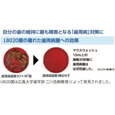 【★ポイント5倍 9/25 0:00-9/27 23:59】マウスウォッシュ L8020 ラクレッシュ L8020菌入 マイルドマウスウォッシュ （アップルミント） リニューアル版 1本(450ml) d-fit-10010226 歯科医院専売品のデンタルフィット サンプル画像2