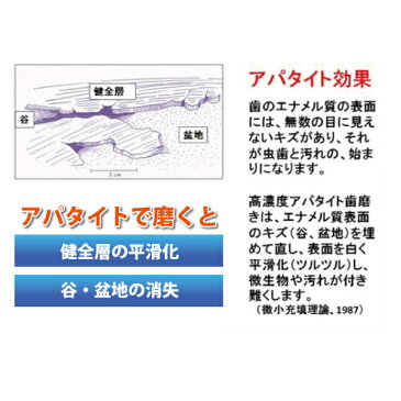 薬用シェルピカ 1本(80g) ホワイトニング 美白 歯みがき粉