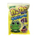 カムカム フレッシュキシリトールグミ グレープ味 お徳用10...