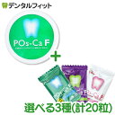 【メール便選択で送料無料】Pos-Ca(ポスカ)F 2粒×1...