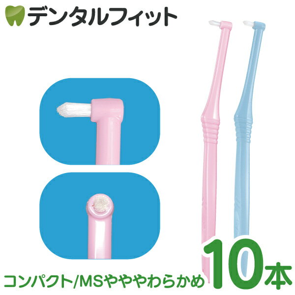 【北陸げんき市★先着100円OFFクーポン有】CiPRO ワンタフトブラシ コンパクトヘッド MSやややわらかめ 10本セット（メール便4点まで）【メール便選択で送料無料】