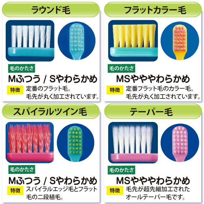 Ci PRO FOUR 4列歯ブラシ 10本セット プロフォー (ラウンド毛・スパイラルツイン毛...