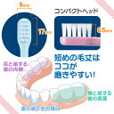 【★ポイント5倍 4/28 20:00-4/30 23:59】毛のかたさが選べる 仕上げ磨き用歯ブラシ Ci602/Ci603 (リサとガスパール柄) 20本 【Ciメディカル 歯ブラシ】 (メール便3点まで)【メール便選択で送料無料】 3