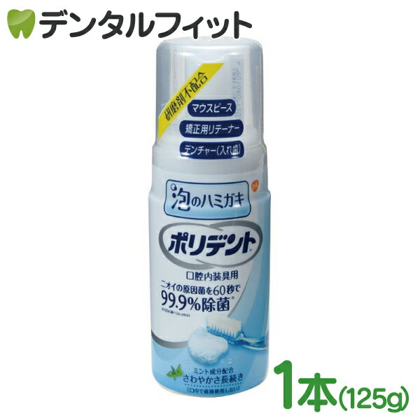 ポリデント泡の入れ歯ハミガキ 1本(125ml)（GSK）