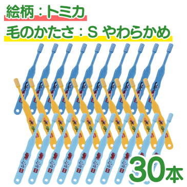 【エントリーでP10倍】【メール便選択で送料無料】選べる 子供向け歯ブラシ30本セット (トミカ・キティ・ドラえもん・キキ＆ララ・ペネロペ・ジュエルペット・なまえ・スヌーピー) (メール便2点まで)