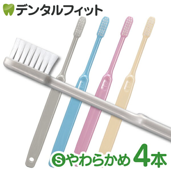 Ci 203 �ץ�ߥ� / S���餫�� 4������Ci��ǥ����� ���֥饷��