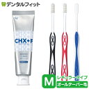 【★ポイント10倍 7/13 10:00 - 7/15 23:59】CHジェルガード(フッ素コート歯磨きジェル) 1本(90g) (フッ素濃度:1450ppm)...