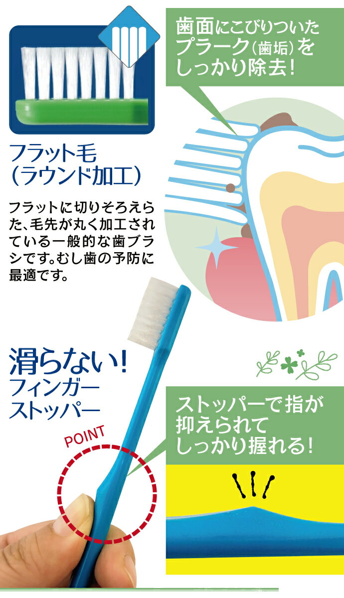 Ci バリュー 歯ブラシ カラーアソート 20本入【Ciメディカル 歯ブラシ】【メール便...