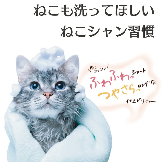 ゾイック N キャッツ トリートメントインシャンプー ロング 300ml 猫用 ペット用 ...