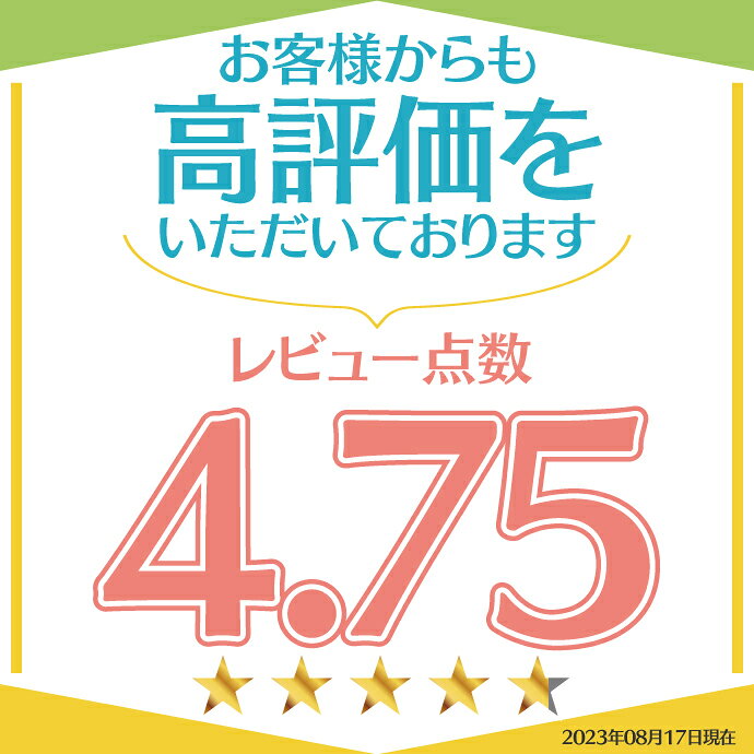 歯ブラシ 子供 Ciキッズ グニー (Kids Gunny) 24本(12本入×2箱)【喉付き防止 乳幼...