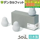 【★最大800P進呈キャンペーン(5/9 20:00-5/16 1:59)】soil(ソイル) フレッシェン 3個入 日本製 珪藻土 イスルギ 調湿剤 脱臭剤 ...