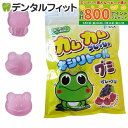 【★最大800P進呈キャンペーン(5/9 20:00-5/16 1:59)】カムカム フレッシュキシリトールグミ グレープ味 1袋(12粒) (メール便9点まで...