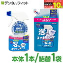 【★エントリー&店内3点購入でP10倍(5/23 20:00-5/27 1:59迄)】選べる ライオンケミカル 泡のスッキリデント 本体1本(300mL)/詰替...