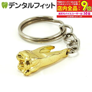【★エントリー最大P9倍+先着100円OFFクーポン 6/4-6/11】キーホルダー ゴールド臼歯