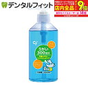 【★エントリー最大P9倍+先着100円OFFクーポン 6/4-6/11】【送料無料】昭和CPうがい薬 300ml【昭和製薬】