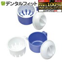 【★エントリー最大P9倍+先着100円OFFクーポン 6/4-6/11】入れ歯洗浄容器 1個 (日本製) (サナダ精工)