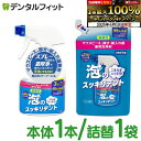 【★エントリー最大P9倍 6/4-6/11】選べる ライオンケミカル 泡のスッキリデント 本体1本(300mL)/詰替え用1袋(270mL) ミントの香り 日本...