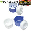 【★エントリー最大P9倍 6/4-6/11】入れ歯洗浄容器 1個 (日本製) (サナダ精工)