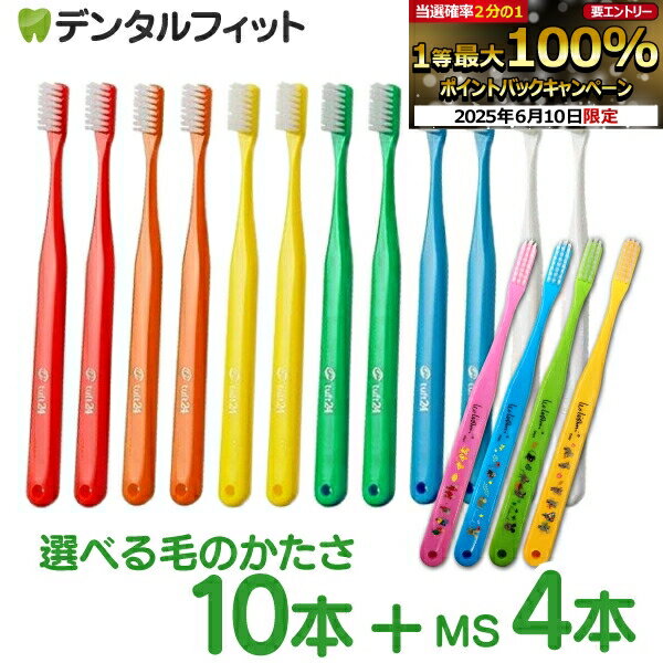 歯ブラシ 毛のかたさ／カラーが選べる タフト24 10本 と Ciベーシック レオ・レオニズ フレンズ 歯ブラシ MSやややわらかめ 4本のセット 歯科医院用歯ブラシ ／ tuft24 （メール便2点まで）【メール便選択で送料無料】のサムネイル