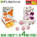 【★エントリー&店内3点購入でP10倍(6/22 20:00-6/27 1:59迄)】キシリトールガム 歯科専用 トレーニング フーセンガム(4粒×4箱) グレープ味 & オレンジ味 各味2個ずつ 風船ガム キシリトール配合 ぶどう風味 【メール便選択で送料無料】