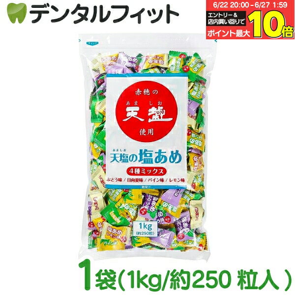 【★エントリー＆店内3点購入でP10倍(6/22 20:00-6/27 1:59迄)】天塩の塩あめ 4種ミックス 1kg(約250粒) ブドウ味・向日夏味・パイン味..