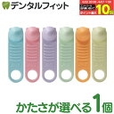 かたさが選べる 舌トレーニング用具 ペコぱんだ 1個 ブルー (SS極めてやわらかめ)/ピンク (Sやわらかめ)/バイオレット (MSやややわらかめ)/グリーン(Mふつう)/オレンジ(MHややかため)/イエロー(Hかため)【メール便選択で送料無料】
