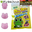 【★エントリー&店内3点購入でP10倍(6/22 20:00-6/27 1:59迄)】カムカム フレッシュキシリトールグミ グレープ味 1袋(12粒)