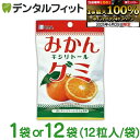 【★エントリー&店内3点購入でP10倍(6/22 20:00-6/27 1:59迄)】個数選べる BSA みかんキシリトールグミ 1袋 / 12袋(12粒/袋) みかんキシリトールグミ