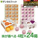 【★エントリー&店内3点購入でP10倍(6/22 20:00-6/27 1:59迄)】キシリトールガム 歯科専用 味が選べる トレーニング フーセンガム(4粒×24箱) グレープ味/オレンジ味 風船ガム キシリトール配合 ぶどう風味 【メール便選択で送料無料】