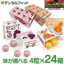 【★エントリー&店内3点購入でP10倍(6/22 20:00-6/27 1:59迄)】キシリトールガム 歯科専用 選べる歯科医院専用トレーニング フーセンガム(4粒×24箱) グレープ味/オレンジ味 風船ガム キシリトール配合 ぶどう みかん