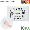 【★エントリー&店内3点購入でP10倍(7/4 20:00-7/11 1:59迄)】ハミガキシート 10枚入り 防災 歯磨き 赤ちゃん 子供 大人 介護 備蓄 ...
