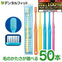 【★エントリー&店内3点購入でP10倍(7/4 20:00-7/11 1:59迄)】毛のかたさが選べる Ci PRO FOUR 4列歯ブラシ ラウンド毛 50本セット プロフォー